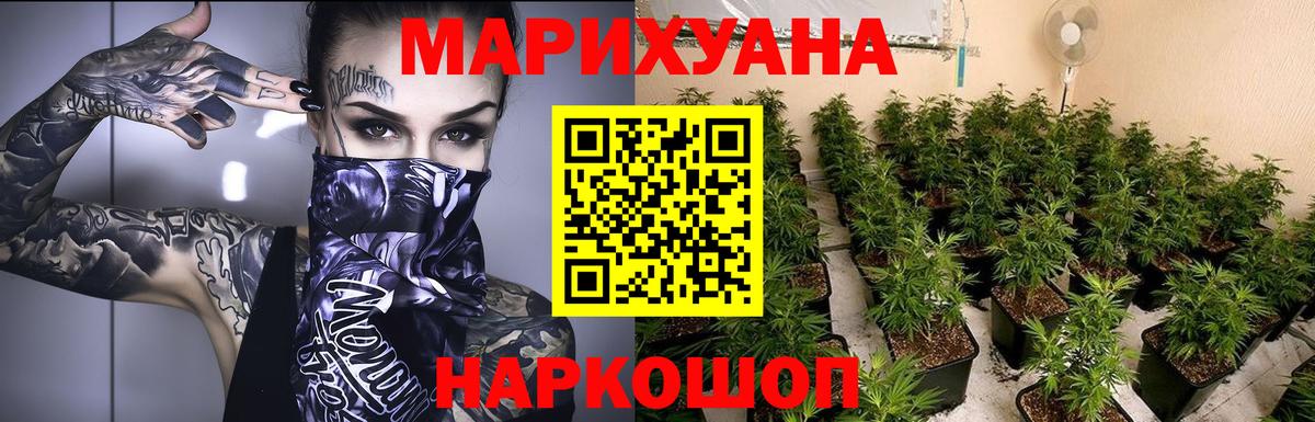 Конопля сатива  Вход с VPN  Конопля Amnesia  Каннабис сатива  Сосновый Бор 